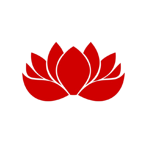services-images/s-514556-p1-front3.png